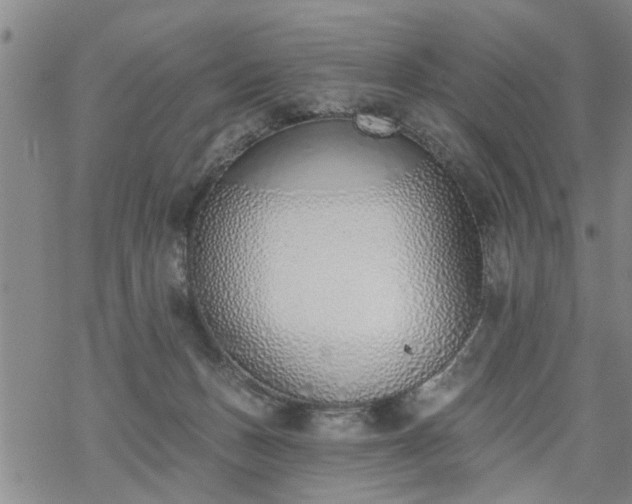 X0000069380175200605192158