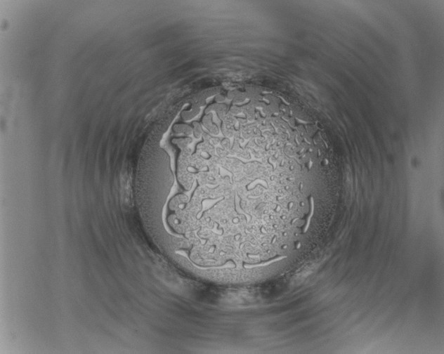 X0000069380177200605192158