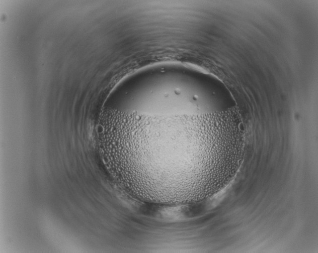 X0000069380178200605192158