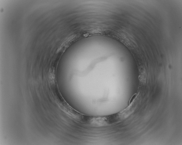 X0000069380179200605192158