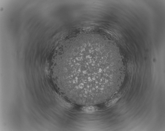 X0000069380181200605192158