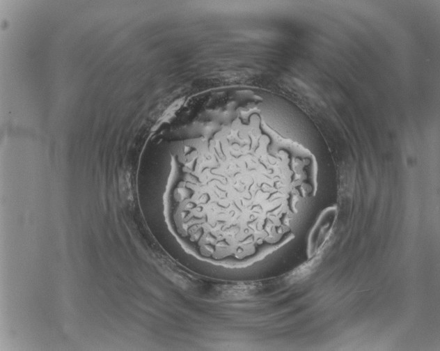 X0000069380182200605192158