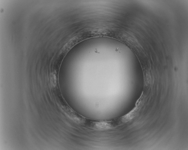 X0000069380183200605192158