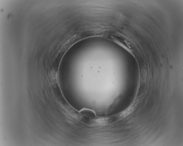 X0000069380184200605192158