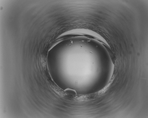 X0000069380186200605192158