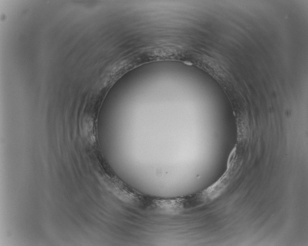 X0000069380187200605192158