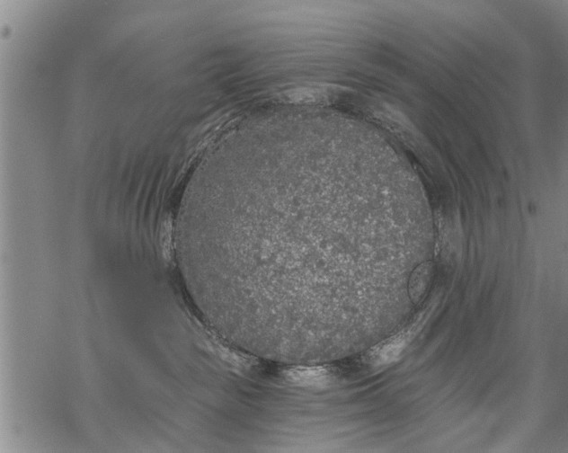 X0000069380189200605192158