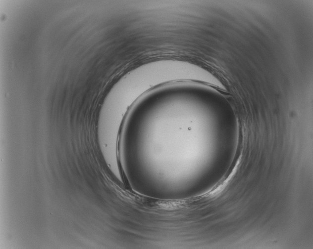 X0000069380190200605192158