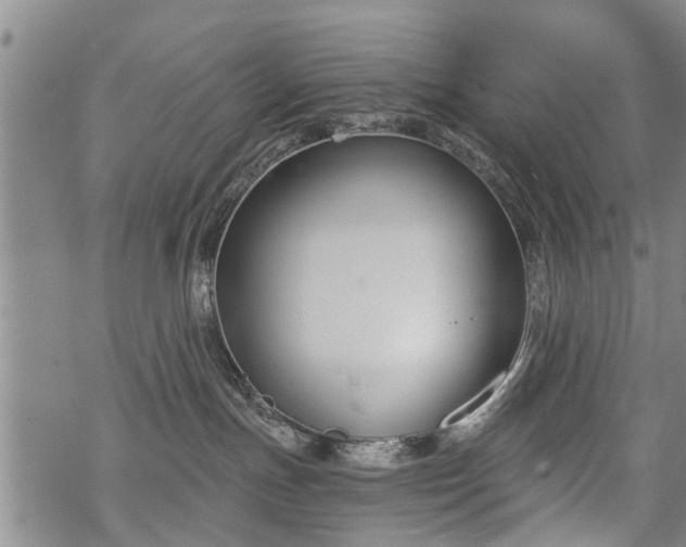 X0000069380191200605192158