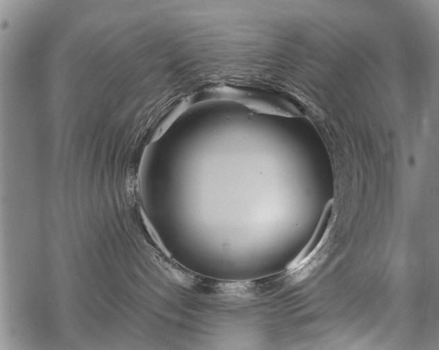 X0000069380192200605192158