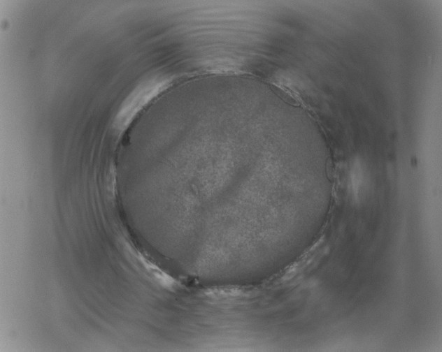 X0000069380194200605192157