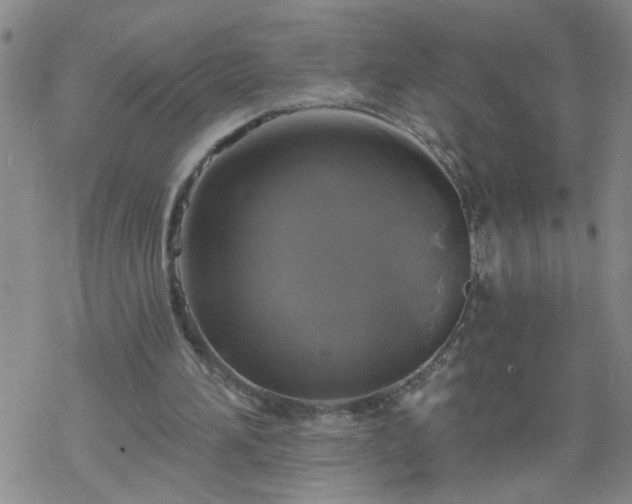 X0000069380196200605192157