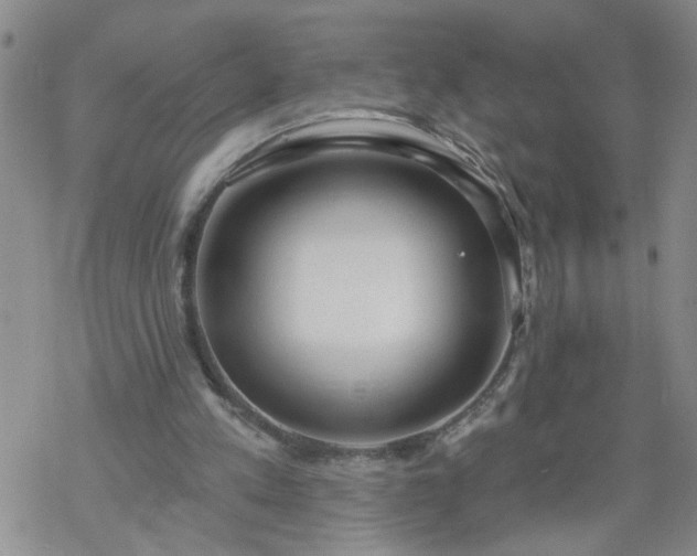 X0000069380197200605192157