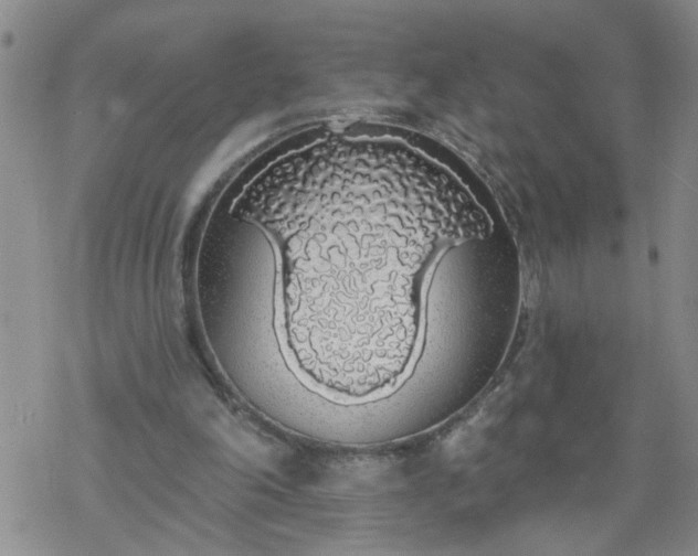 X0000069380198200605192157