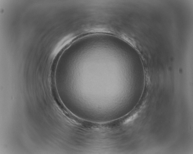 X0000069380199200605192157