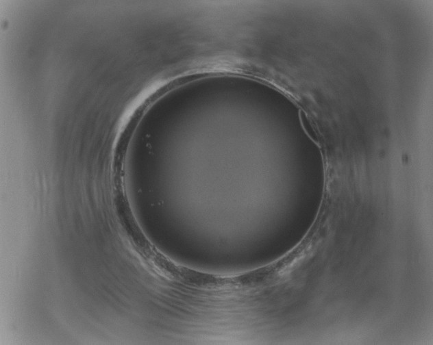 X0000069380200200605192157