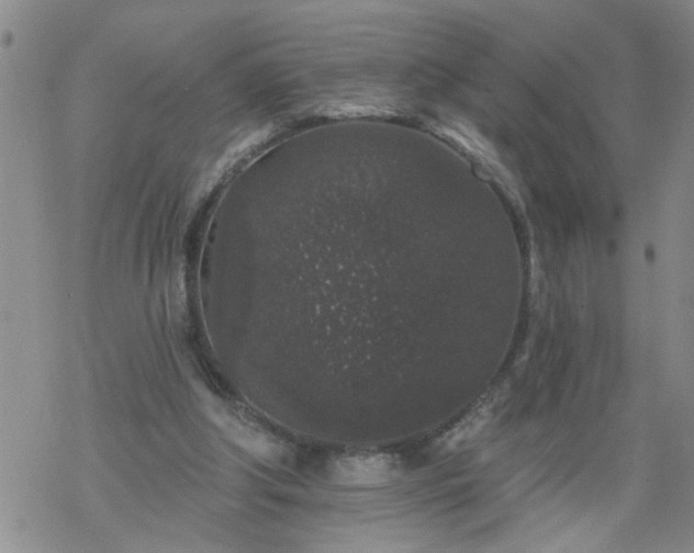 X0000069380202200605192157