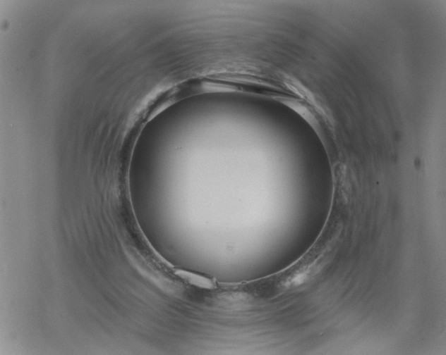 X0000069380203200605192157