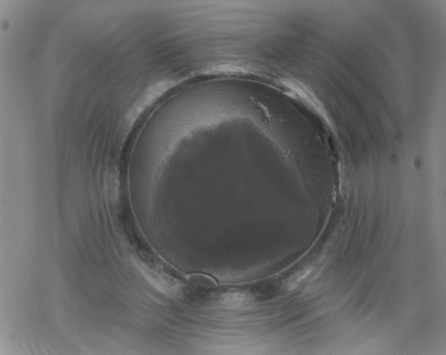 X0000069380204200605192157