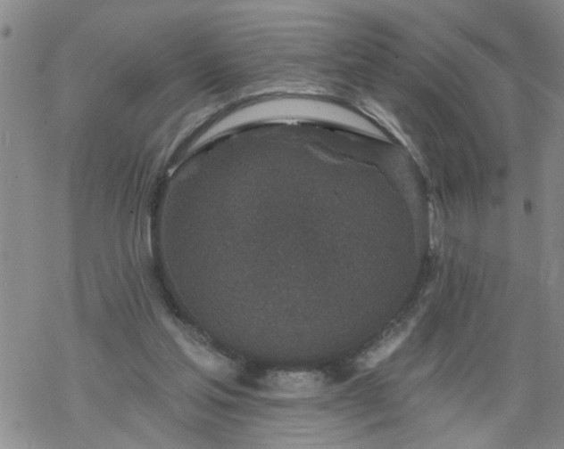 X0000069380205200605192157