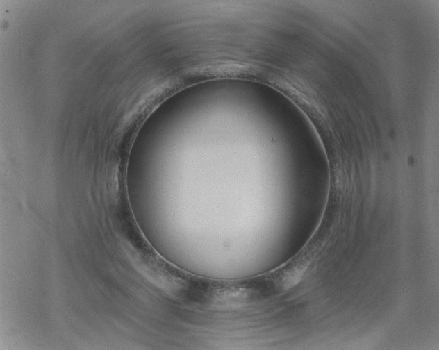 X0000069380206200605192157