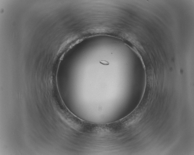 X0000069380207200605192157