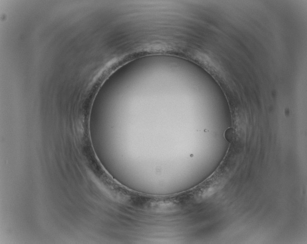 X0000069380208200605192157