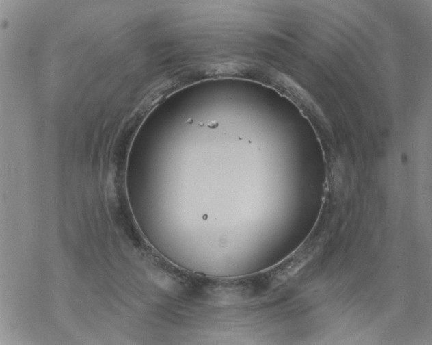 X0000069380209200605192157