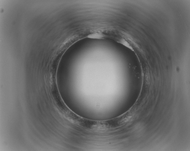 X0000069380211200605192157