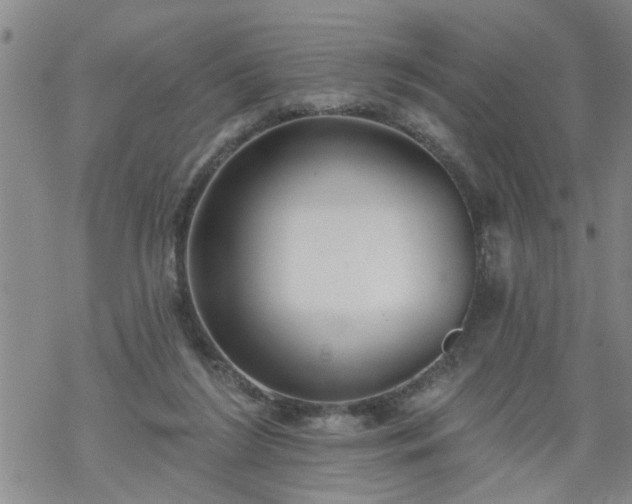 X0000069380212200605192157