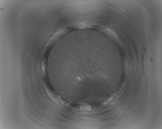 X0000069380214200605192157