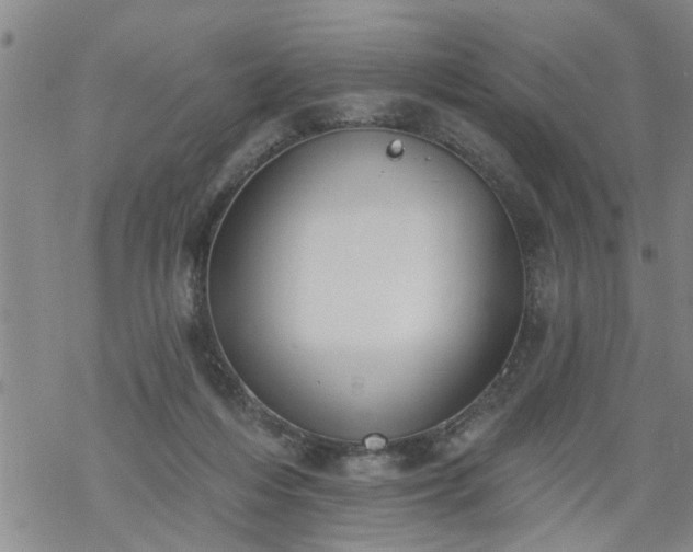 X0000069380216200605192157