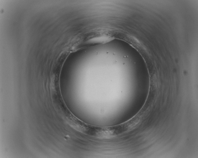 X0000069380217200605192157