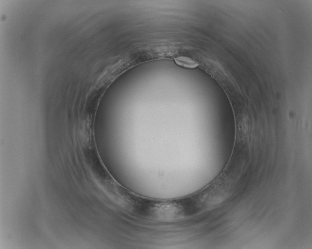 X0000069380218200605192157