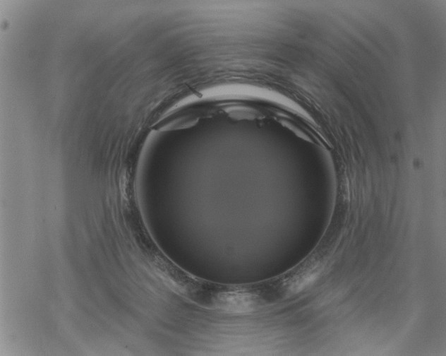 X0000069380219200605192157