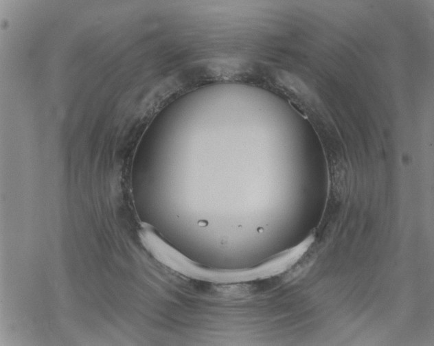 X0000069380221200605192157