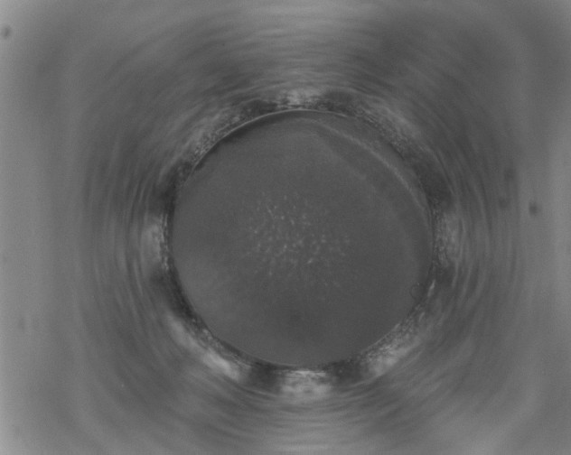 X0000069380222200605192157