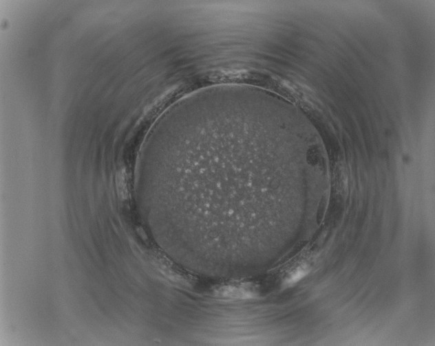 X0000069380224200605192157