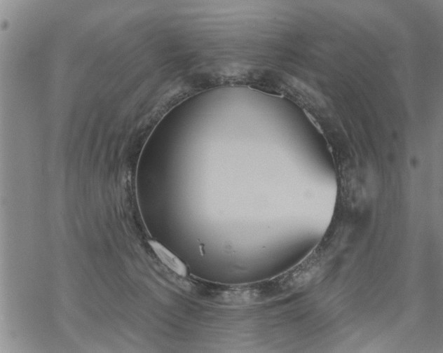 X0000069380225200605192157