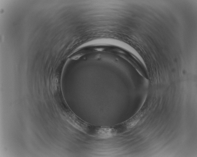 X0000069380227200605192157