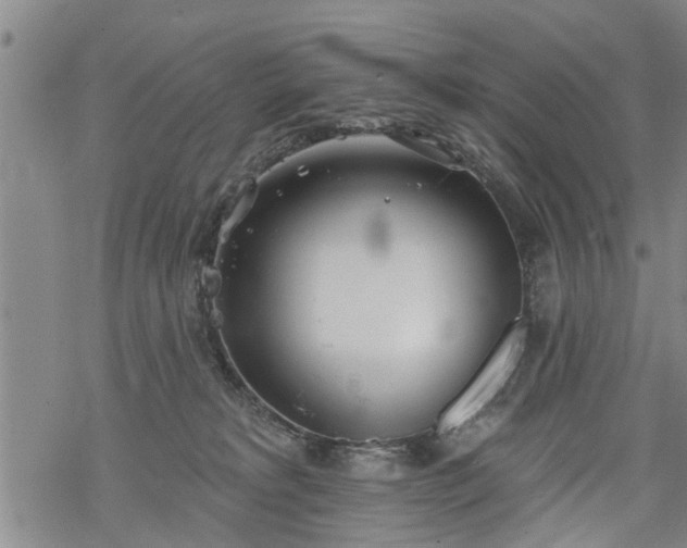 X0000069380229200605192157