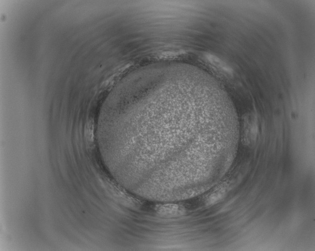 X0000069380230200605192157