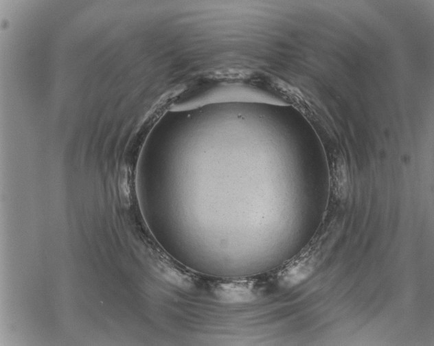 X0000069380232200605192157