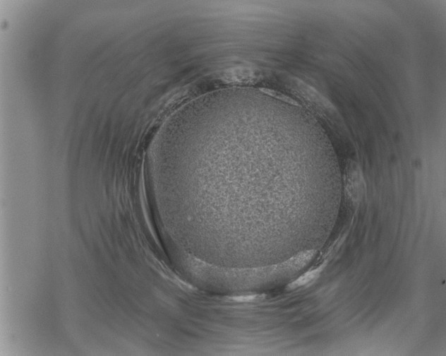 X0000069380233200605192157