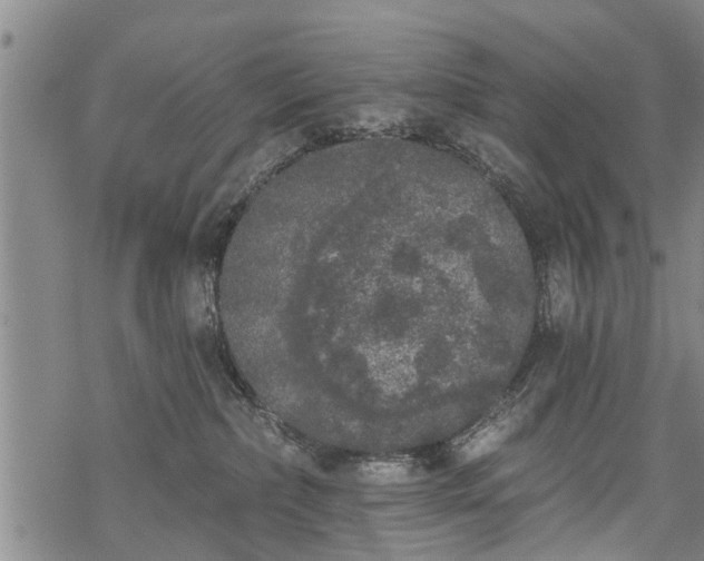 X0000069380236200605192157