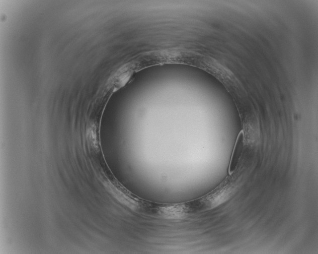 X0000069380238200605192157