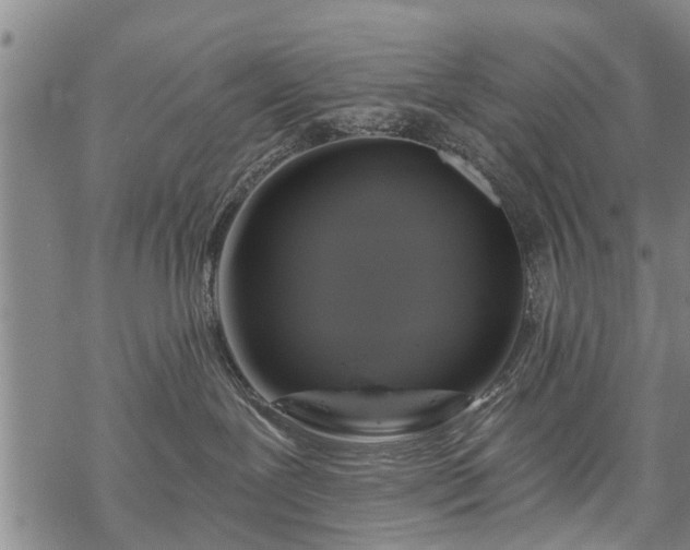 X0000069380239200605192156