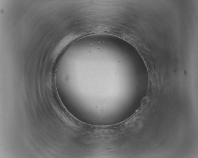 X0000069380242200605192156