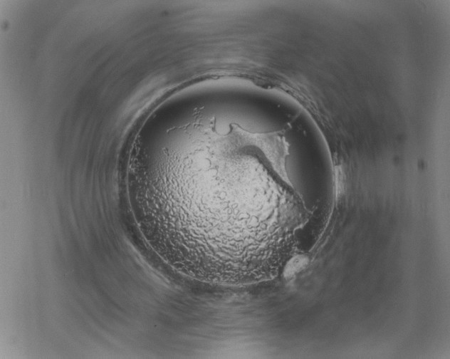 X0000069380243200605192156