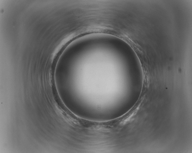 X0000069380244200605192156